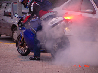 Ducati babes motor girls 