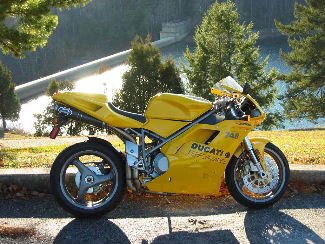 Ducati babes picture