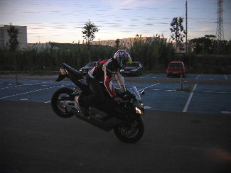 Honda babes motor girls 