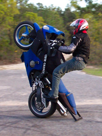 Honda CBR 600-RSV-Mille