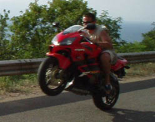 Honda CBR 600-RSV-Mille