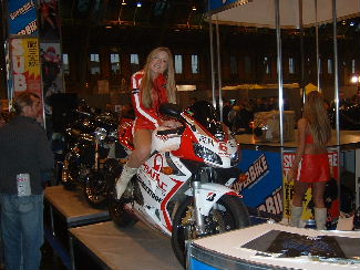 Honda CBR 600-RSV-Mille babe