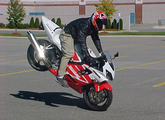 Honda babes motor girls 