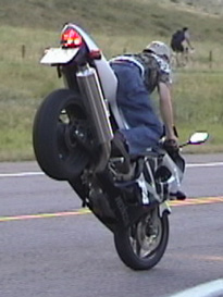 Honda-RSV-Mille babe