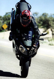 Kawasaki-RSV-Mille babe