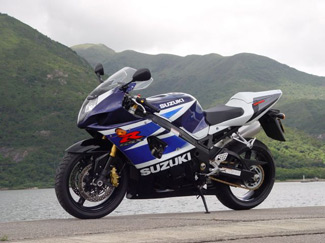 Suzuki-GSXR-1000-nicepic babe