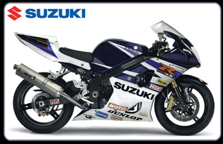 Suzuki-GSXR-1000-nicepic babe