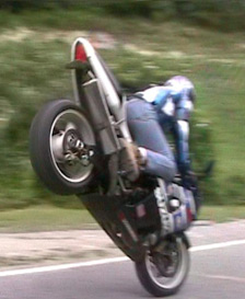 Suzuki babes motor girls 