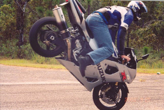 Suzuki-RSV-Mille babe