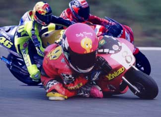 Ducati babes picture